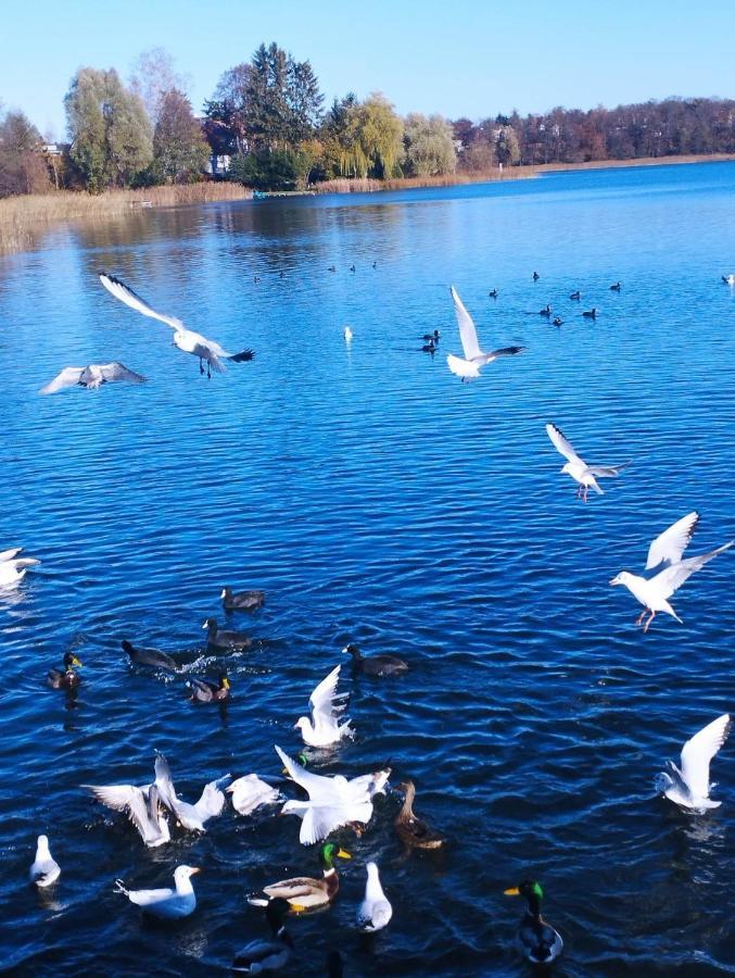Apartament Apartament Lago Mrągowo